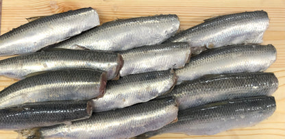Śledź Tuszka